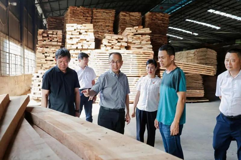 李庆元在孟连拓成木业公司调研.jpg
