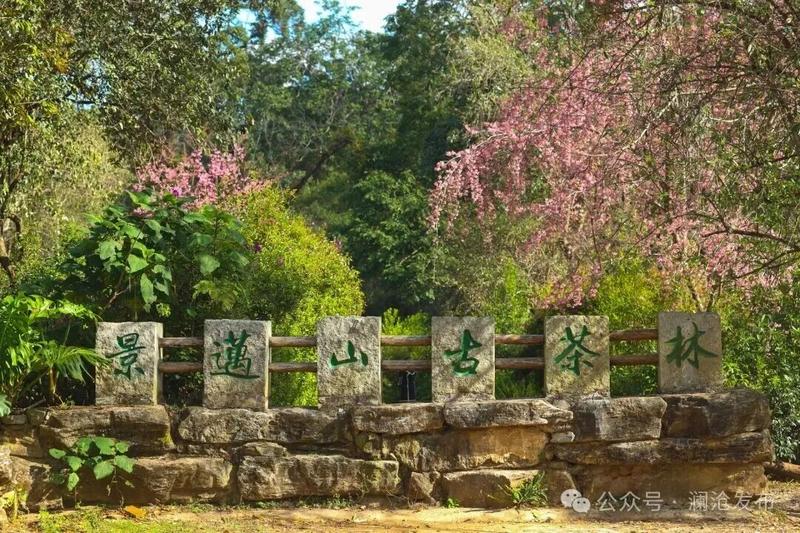 杨姝 摄(2)_副本.jpg